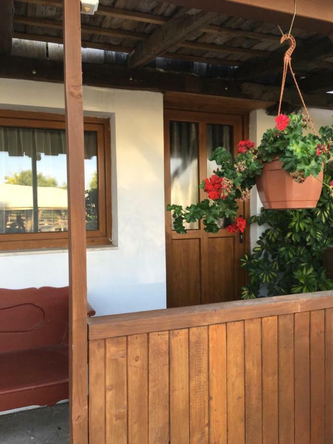 Balatonkenesei Nádfedeles Lovas Vendégház Extérieur photo