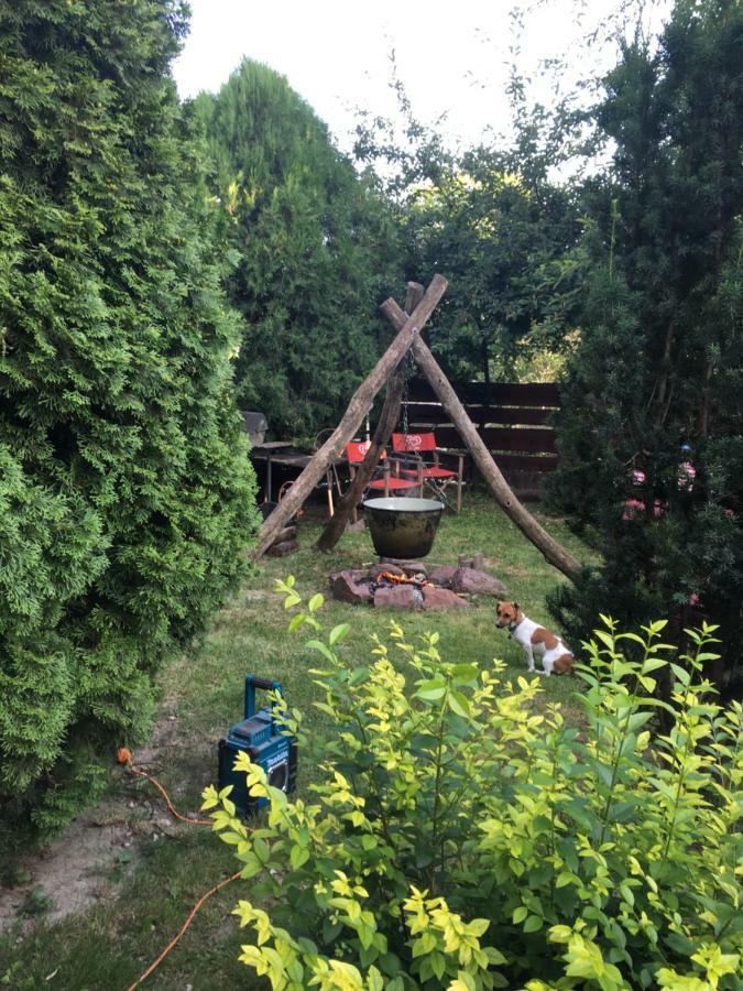Balatonkenesei Nádfedeles Lovas Vendégház Extérieur photo