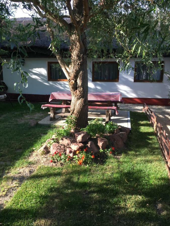 Balatonkenesei Nádfedeles Lovas Vendégház Extérieur photo