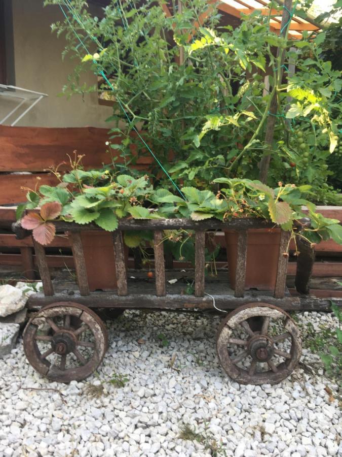 Balatonkenesei Nádfedeles Lovas Vendégház Extérieur photo